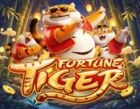 Nasib Harimau — Slot MEGA888